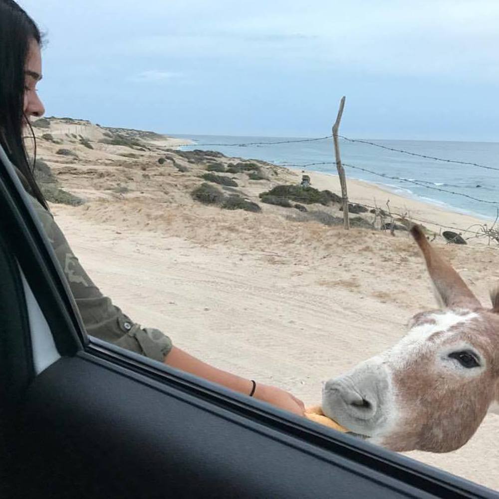 Meet your Posher, Aimeé